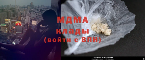 индика Алексин
