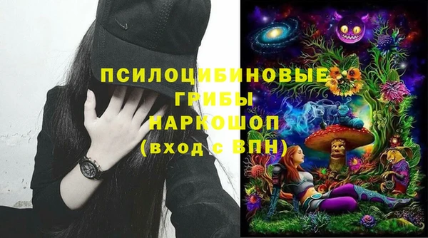 индика Алексин