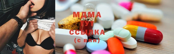 индика Алексин