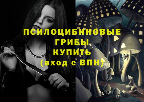 индика Алексин